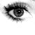:iconhollywoodhello: