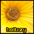 :iconhollzzy: