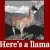 :iconholo-demon09: