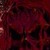 :iconholy-hellion: