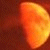 :iconholy-order: