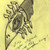 :iconholy-seraphim: