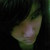 :iconholydollofodd: