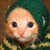 :iconholylazers:
