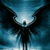 :iconholyshaid: