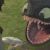 :iconholyshiitake: