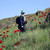 :iconhoma-smn: