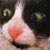 :iconhomemade-happiness: