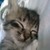 :iconhomerrenz26: