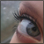 :iconhomiczek: