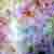:iconhomomonster: