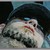 :iconhomosculptor: