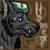 :iconhomsar88: