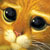 :iconhomunculus99: