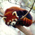 :iconhon-ho:
