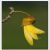 :iconhonestly222: