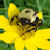 :iconhonestphotography: