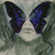 :iconhoney-kun: