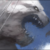 :iconhoneybad6er: