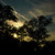 :iconhoneyball2707:
