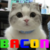 :iconhoneybeeer: