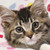 honeydewsweetie :iconhoneydewsweetie: