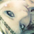 :iconhoneyrabbit: