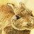 :iconhoneythistle: