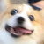 :iconhoneywave: