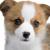 :iconhono-masao: