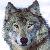 :iconhonshuwolf: