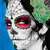 :iconhoochyskank: