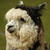 :iconhoofpaint: