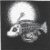 :iconhookline-dreamer: