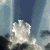 :iconHoomenkoa: