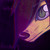 :iconhoosetti: