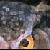 :iconhoot-owl: