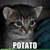 :iconhope-to-be-an-artist: