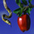 :iconhopefalls: