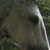 :iconhopefeather: