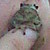 :iconhopefulfish: