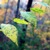 :iconhopehere: