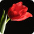 :iconhopeless-romantic177: