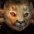 :iconhopelover7023:
