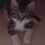 :iconhopestorm: