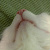 :iconhopeysomething: