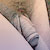 :iconhopi-wan: