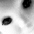 :iconhopiexx: