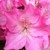 :iconhoping-you-will-see: