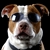 :iconhoplite480: